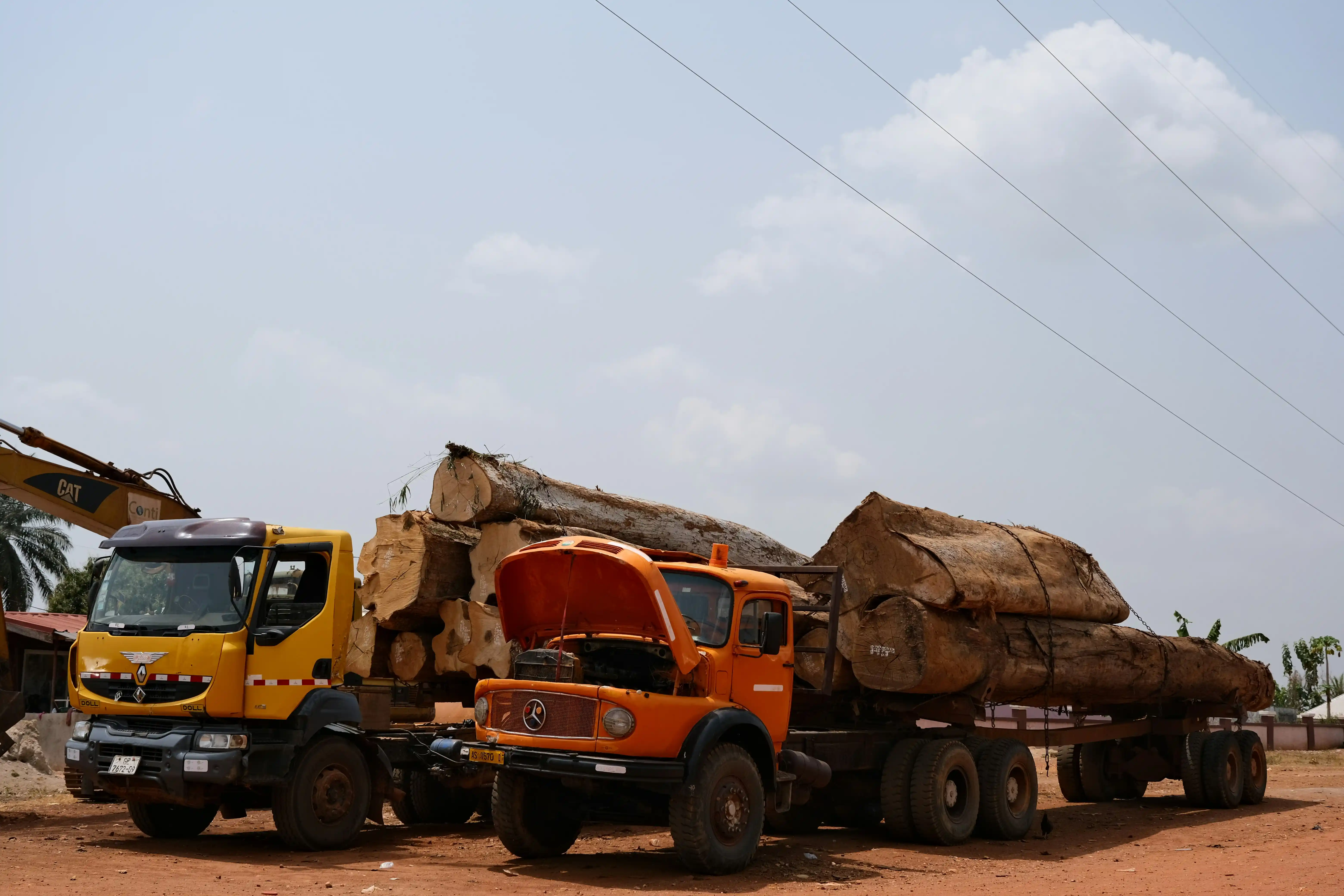 Forestry